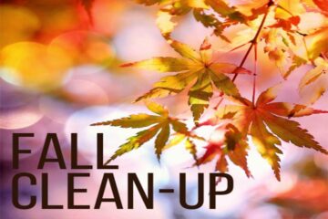 Clean Ups - Spring & Fall